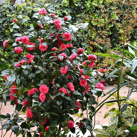 B&B Leonardo Rho Luaran gambar
