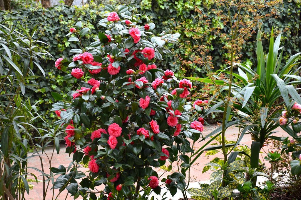 B&B Leonardo Rho Luaran gambar